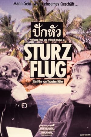 Poster Sturzflug (1989)