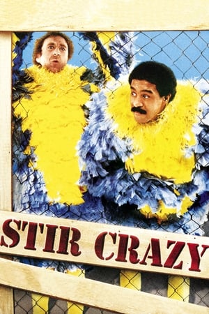 Click for trailer, plot details and rating of Stir Crazy (1980)