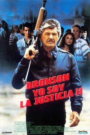 pelicula Yo soy la justicia IV (1987)