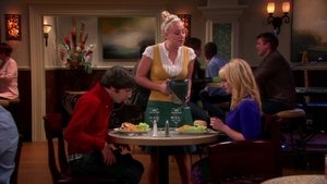 The Big Bang Theory 6 x Episodio 7