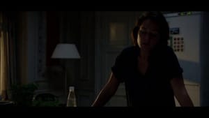 Ver Borgen 3×7 Temporada 3 Capitulo 7 Online Español