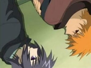 Fruits Basket: 1×9