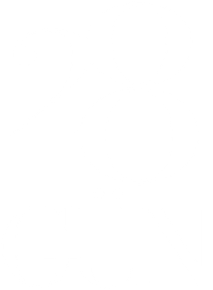 28 Gün