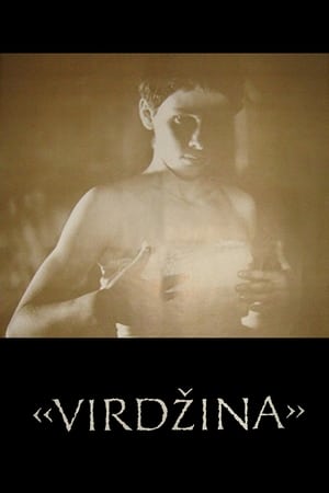 Poster Virgina 1991