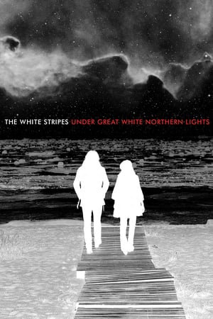 Poster The White Stripes: Under Great White Northern Lights (2009)