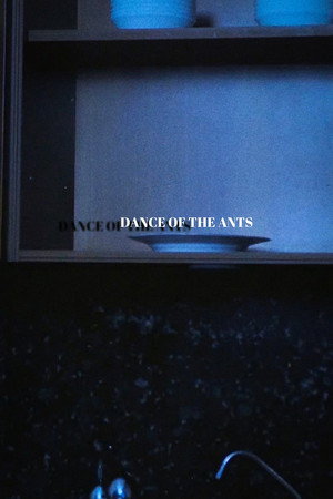 Dance of the Ants