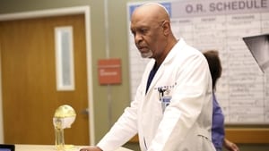 Grey’s Anatomy: Stagione 12 x Episodio 2