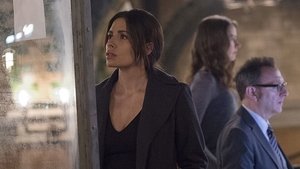 Vigilados, Person of Interest: 4×10