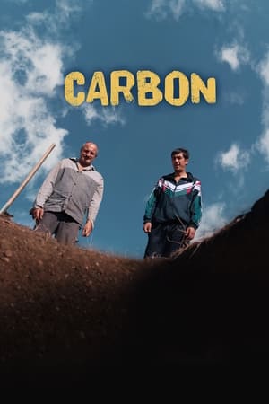 Poster Carbon 2022