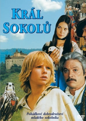 Poster Král sokolů 2000