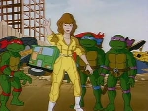 Teenage Mutant Ninja Turtles: 2×4