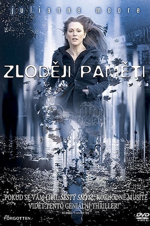 Poster Zloději paměti 2004