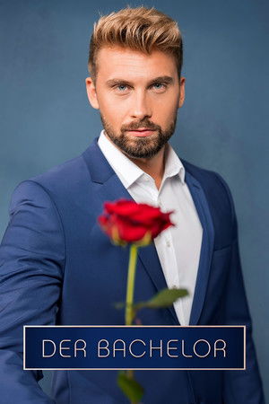 Der Bachelor - Season 12