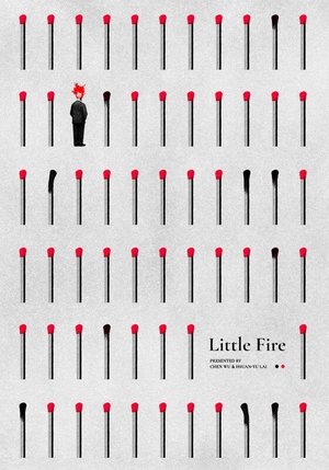Little Fire 2024