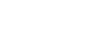 Peep and the Big Wide World