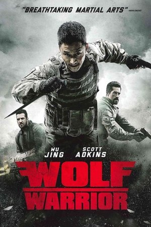 Wolf Warrior 3 poster