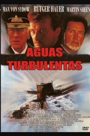 Image Aguas turbulentas