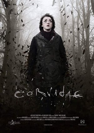 Poster Corvidae 2018