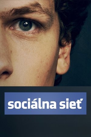 Sociálna sieť 2010