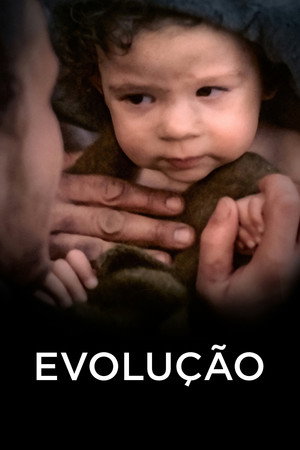 Evolution 17