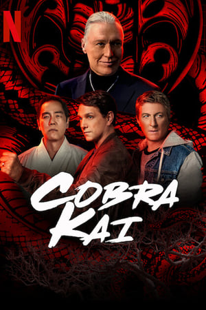 Cobra Kai 5ª Temporada Torrent (2022) Dual Áudio / Dublado WEB-DL 720p | 1080p – Download
