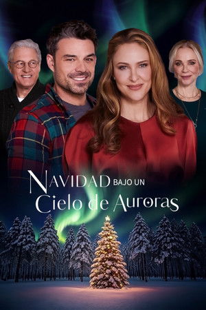 poster_Christmas Under the Northern Lights
