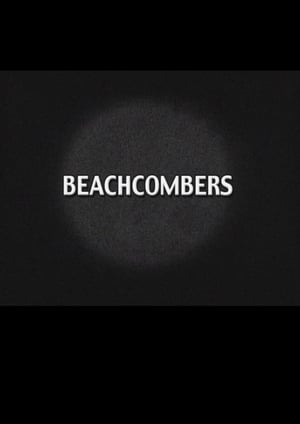 Beach Combers poster