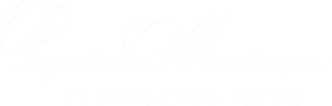 Pequeñas mentirosas: Perfeccionistas