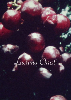 Lacrima Christi 14