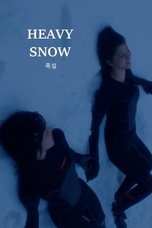 Poster Heavy Snow 2023