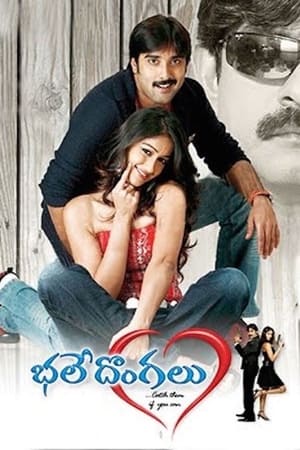 Poster భలే దొంగలు 2008