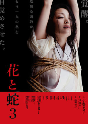 Poster 花と蛇 3 2010