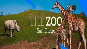 The Zoo: San Diego