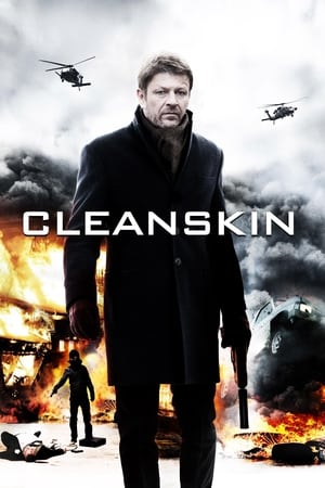 Cleanskin poster