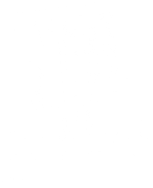 Noi e la Giulia