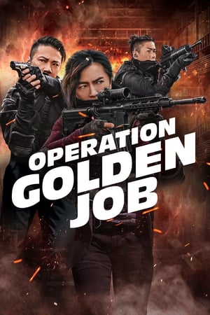 Poster Operation Golden Job 2018