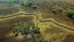 Cazadores de África: 2×1