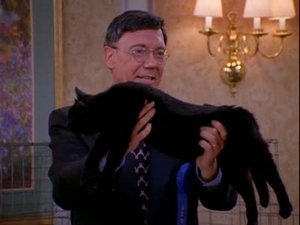 Sabrina, the Teenage Witch: 1×19