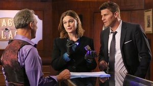 Ver Bones 11×7 Temporada 11 Capitulo 7 Español Latino