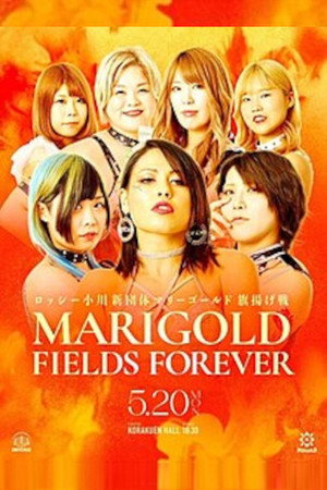 Marigold Fields Forever 4