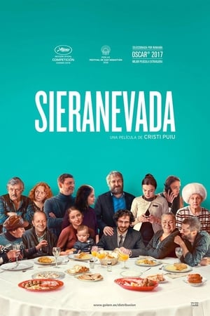 Poster Sieranevada 2016