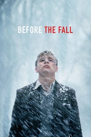 Image Before the Fall