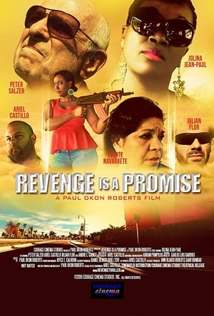 watch-Revenge is a Promise