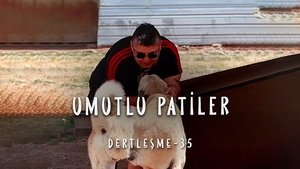 Episode 35