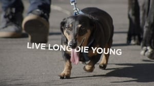 Live Long Die Young film complet