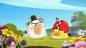 Angry Birds Toons: 2×19