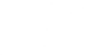 مملكة الحرير — Logos 1