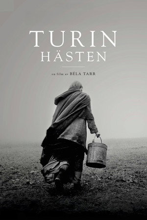 The Turin Horse 50