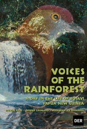 Nonton film Voices of the Rainforest: A Day in the Life of Bosavi (1970) terbaru sub indo Nonton film Voices of the Rainforest: A Day in the Life of Bosavi (1970) terbaru sub indo