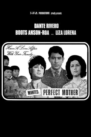 Poster Wanted: Perfect Mother (1970)